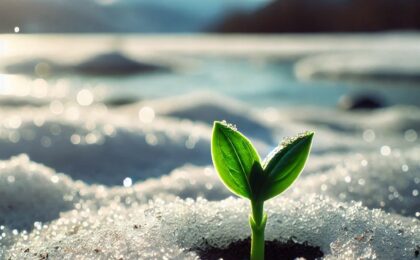 "A small green sprout breaking through the snow, representing perseverance and the promise of growth after struggle."